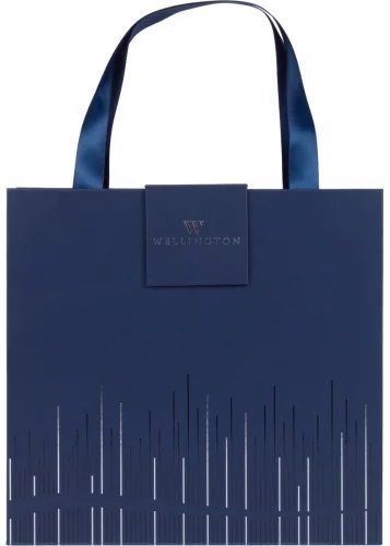 Wellington Комплект химикалка + тефтер Oxford, син