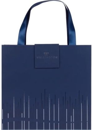 Wellington Комплект химикалка + тефтер Oxford, син