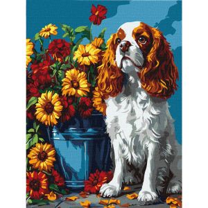 Ideyka Комплект оцветяване по номера - Кокершпаньол