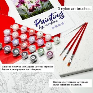 Ideyka Комплект оцветяване по номера - Котка