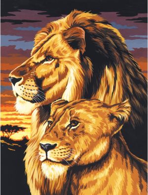Royal оцветяване по номера върху платно Лъвове, PCS3