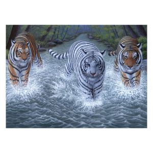 Royal оцветяване по номера Тигри, PJL34